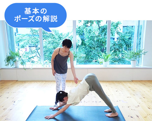 基本のポーズの解説